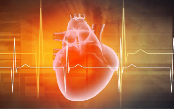 CARDIAC RISK MARKERS ADVANCE