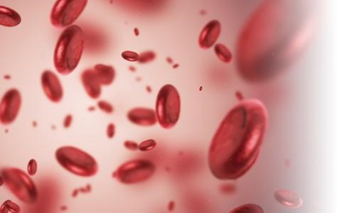 Iron Deficiency Profile