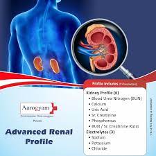 Advanced Renal Profile