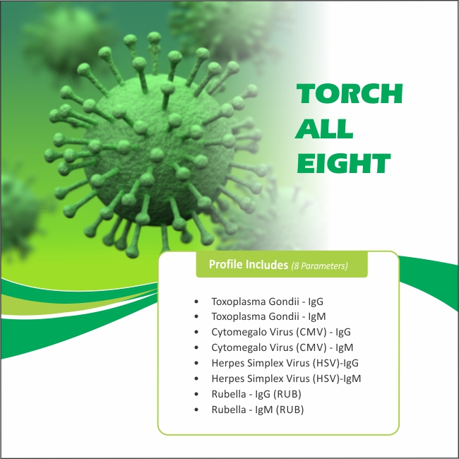 TORCH ALL EIGHT
